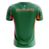 Maillot de Gardien PSV Eindhoven 2025-26 Verte Pour Homme